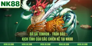 Đá Gà Tonhon - Trận Đấu Kịch Tính Của Các Chiến Kê Tại NK88